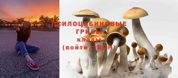 ALPHA-PVP Зеленокумск