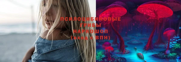 шишки Инсар