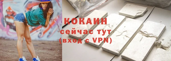 шишки Инсар