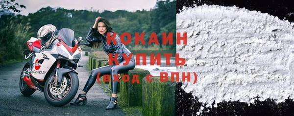 ешки Новосибирск