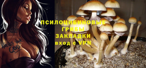 марихуана Инта