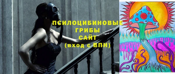 шишки Инсар