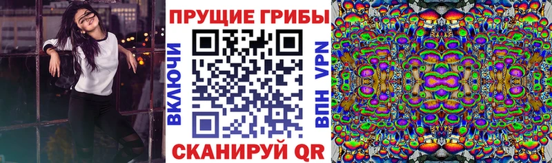 Галлюциногенные грибы Psilocybe  Сретенск 
