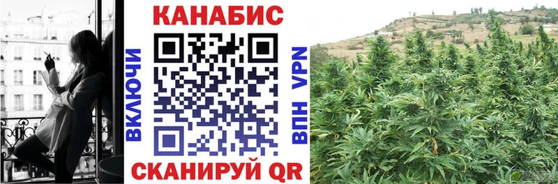 ссылка на мегу tor  Сретенск  даркнет какой сайт  Конопля тримм 